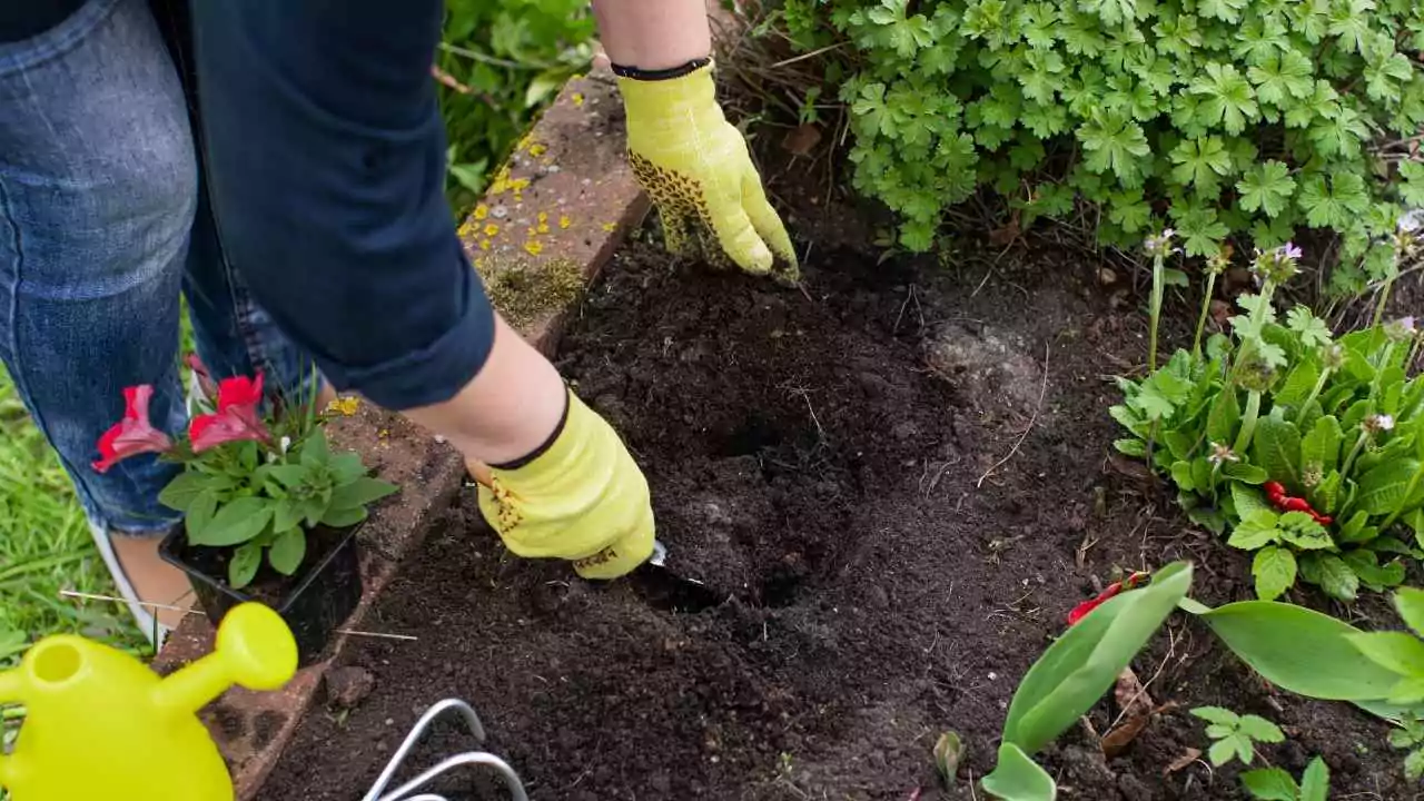Garden Soil vs Topsoil