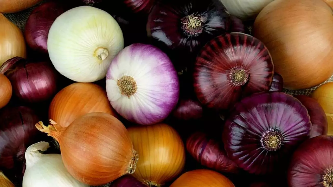 Is An Onion A Fruit Or Vegetable