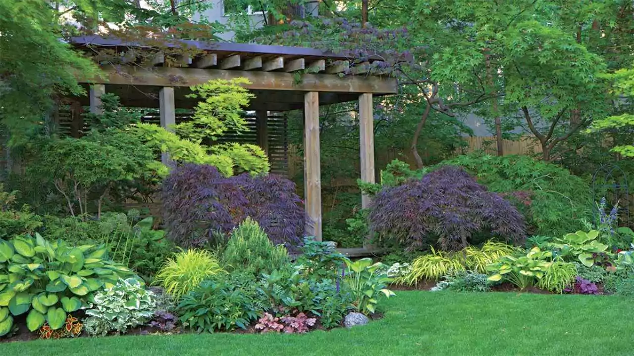 Plant Combinations For A Shade Garden