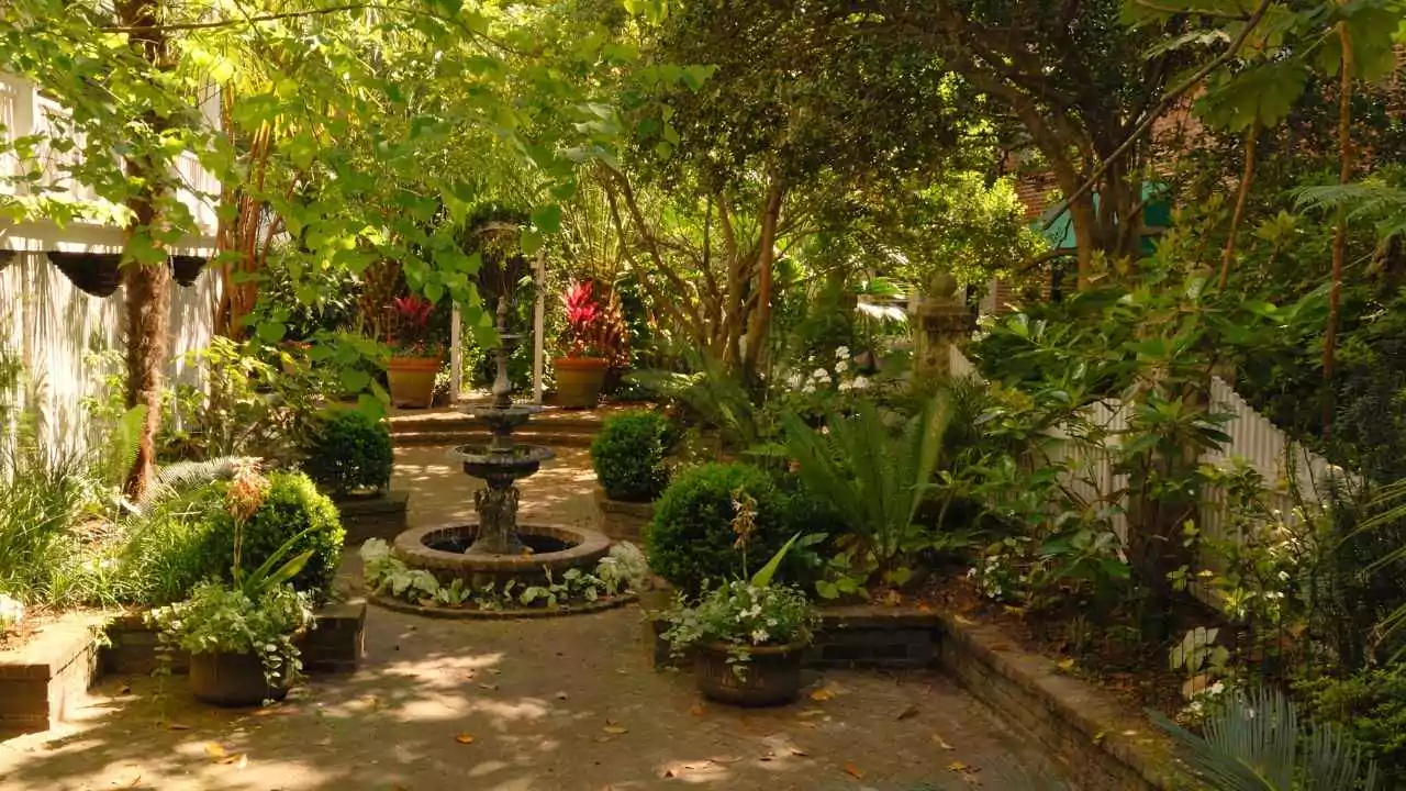 Shade Gardening