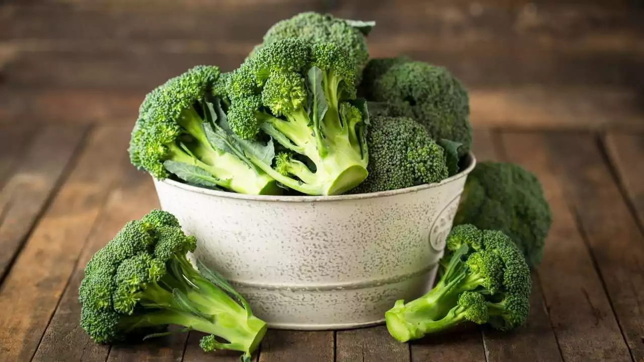 Is Broccoli Man-Made? The Truth Behind this Popular Vegetable 1 What Is Broccoli