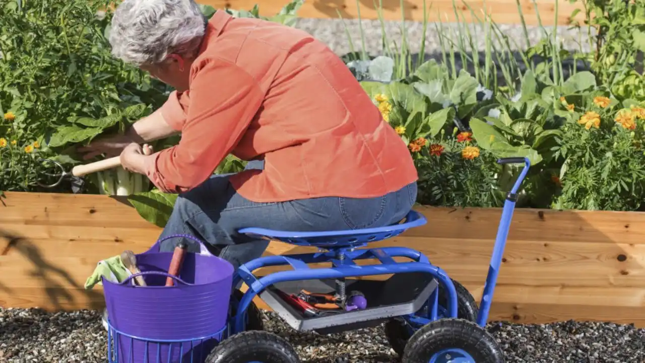 7 Rolling Garden Seats Perfect For All Ages 1 7 Rolling Garden Seats Perfect For All Ages 1