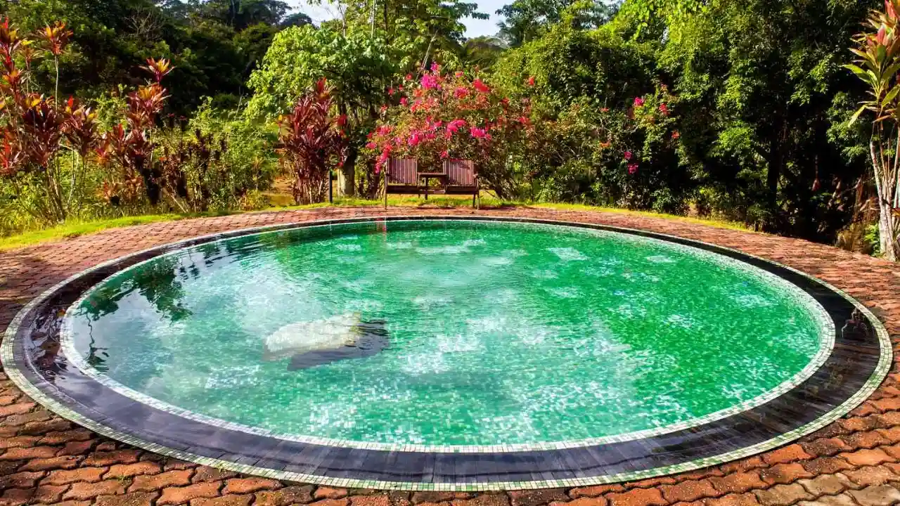 Cool circle pools for tiny gardens