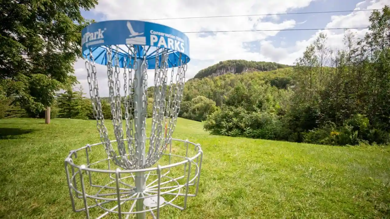 Frisbee Golf