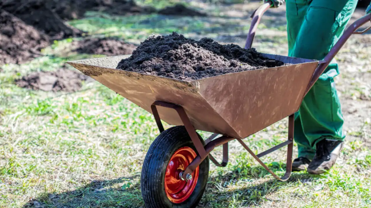 6 Best Wheelbarrows For Concrete 1 Moving concrete with wheelbarrows