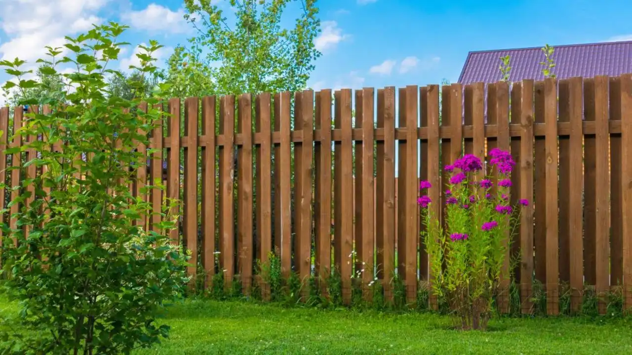 The Wooden Fence