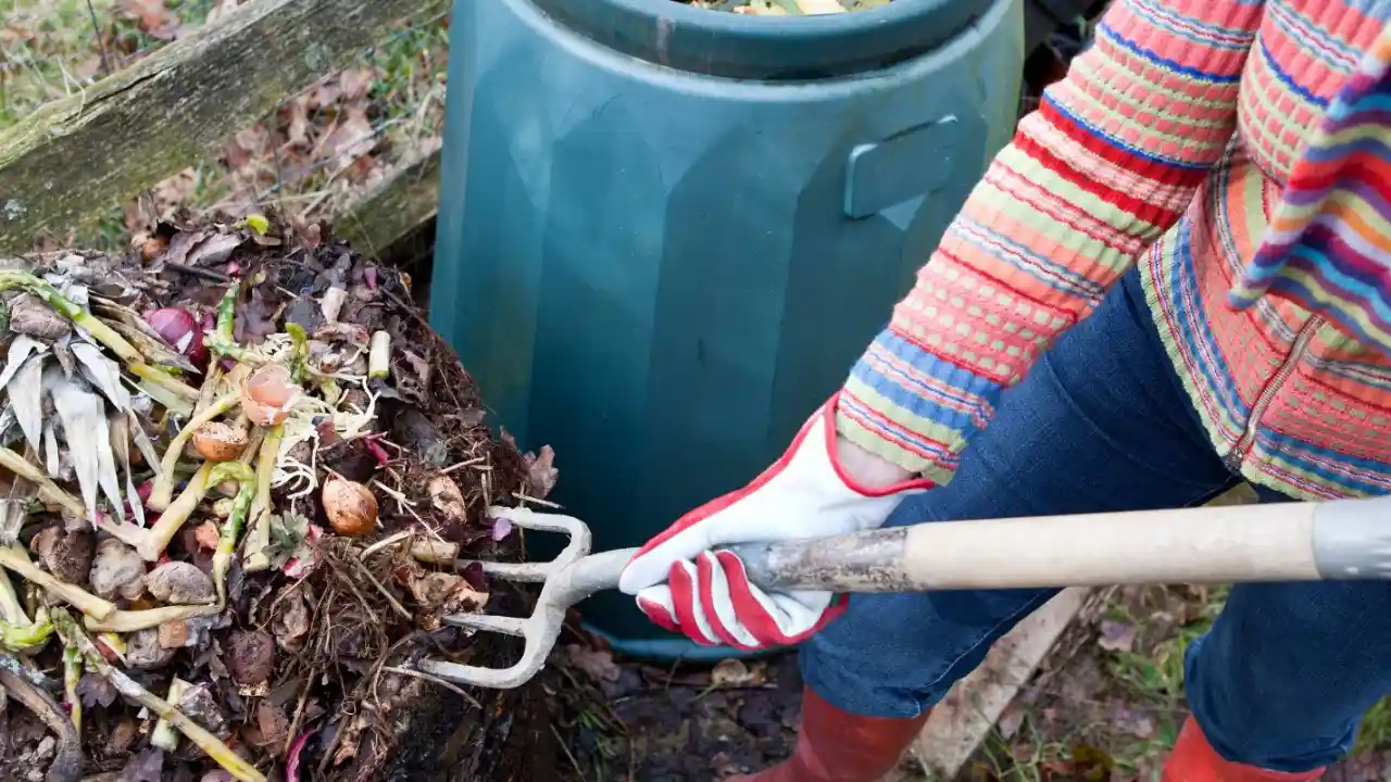 Why Do Organic Bananas Taste Better? 3 Aerobic composting