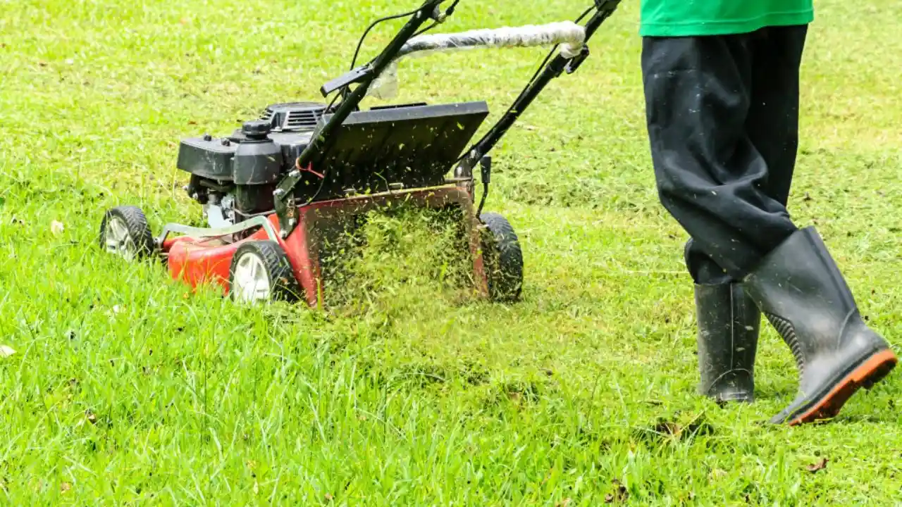 Are Zero Turn Mowers Good on Rough Terrain? 3 Cutting wet grass