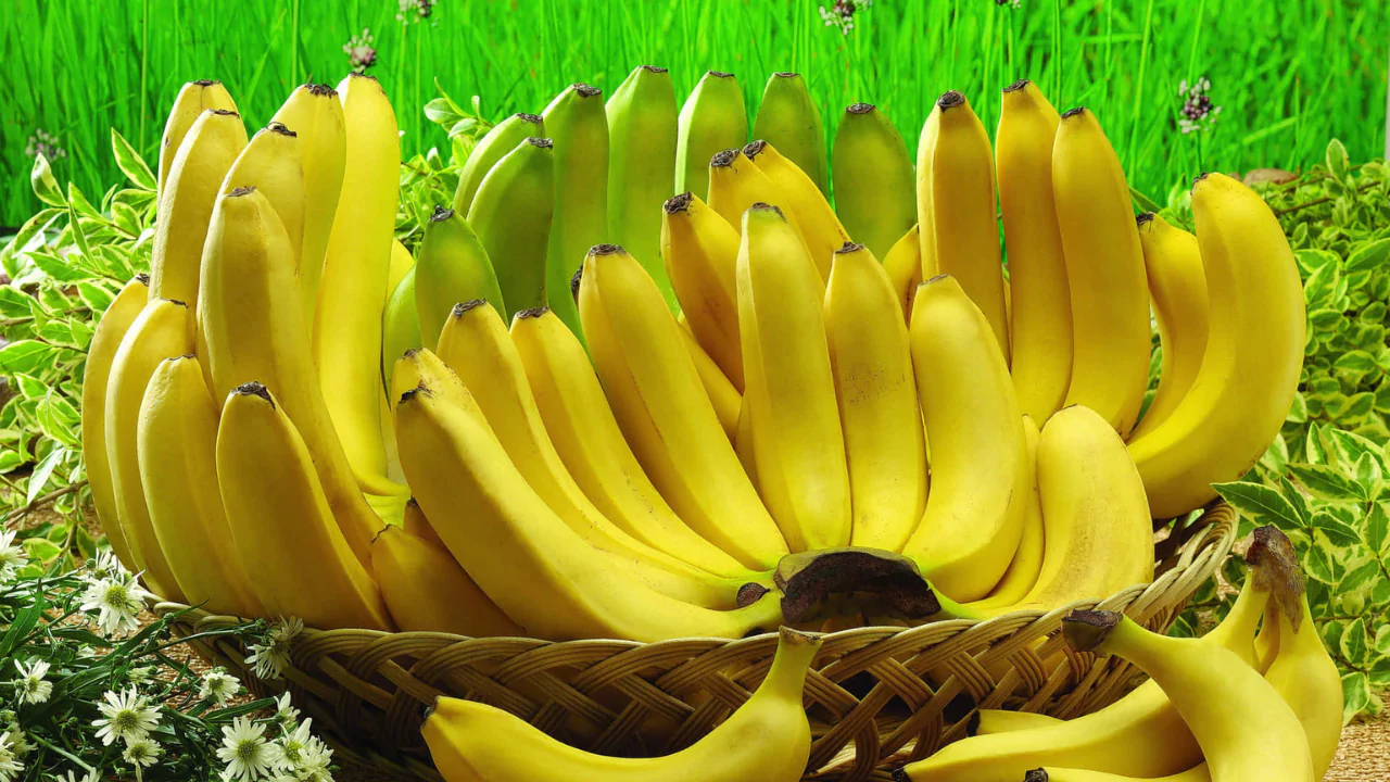 Why Do Organic Bananas Taste Better? 5 Fresh organic banana 1