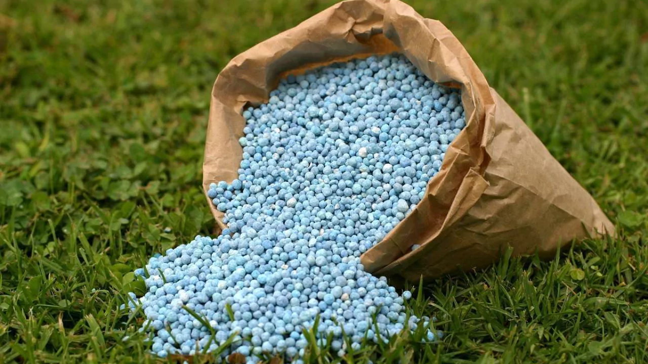 How Long Does it Take for Granular Fertilizer to Dissolve