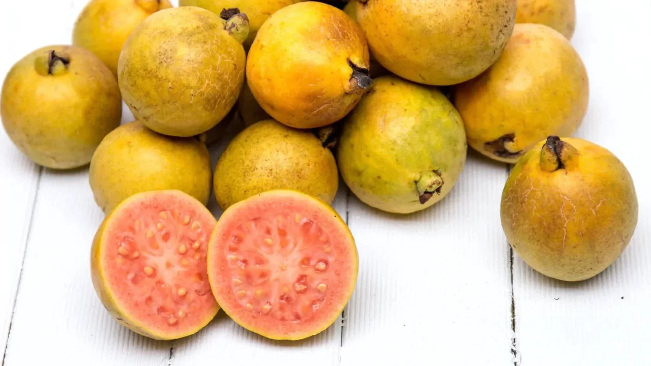 21 Yellow Fruits – Some May be New to You! 3 Guava