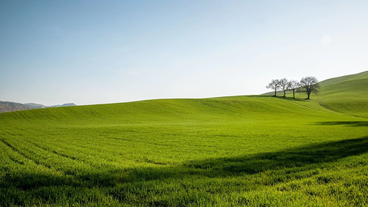 Are Zero Turn Mowers Good on Rough Terrain? 2 Hilly lawn