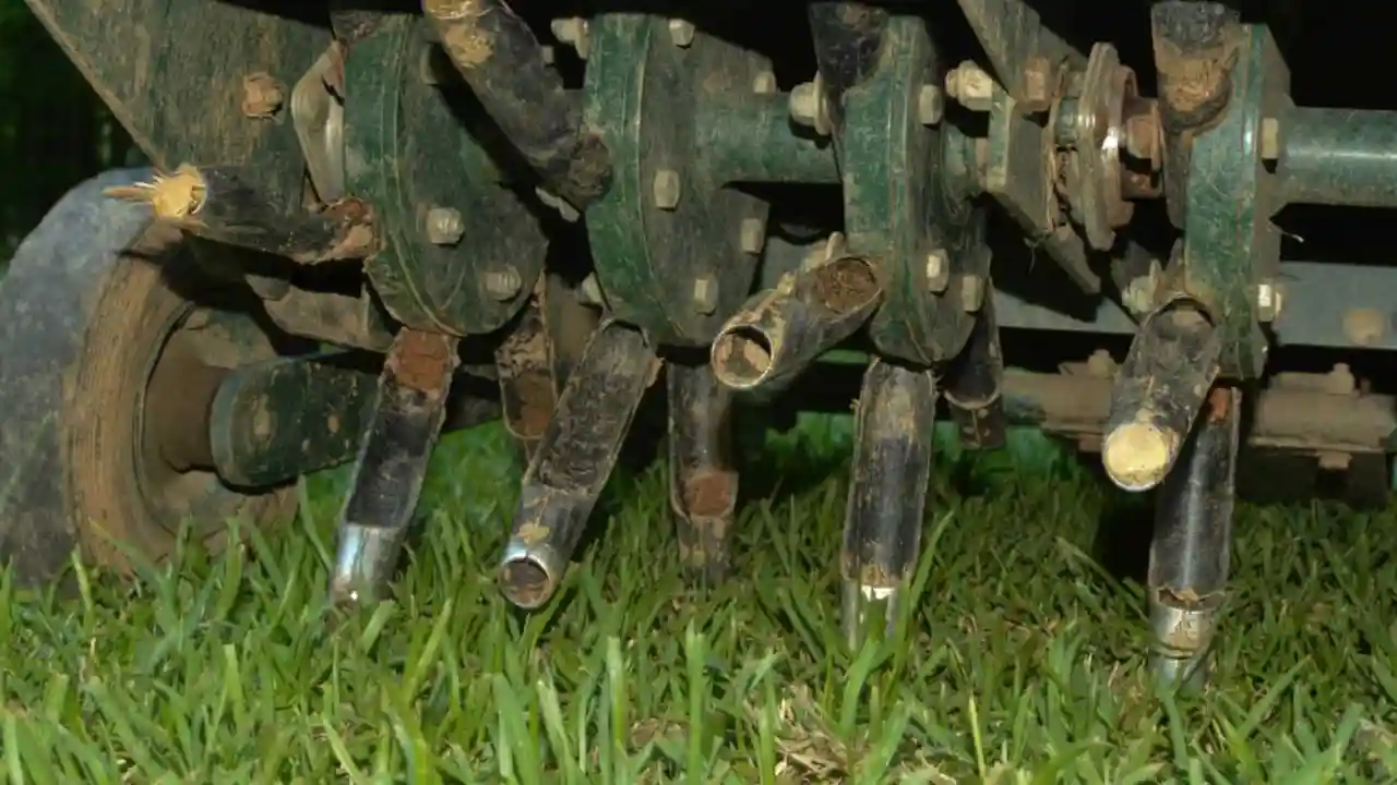 Will Aerating a Lawn Help with Drainage? 3 Lawn aeration signs