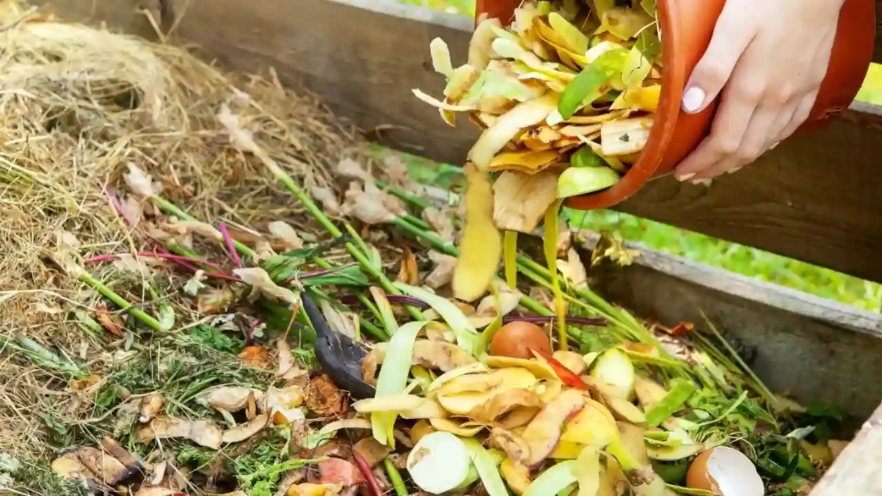 Making homemade compost