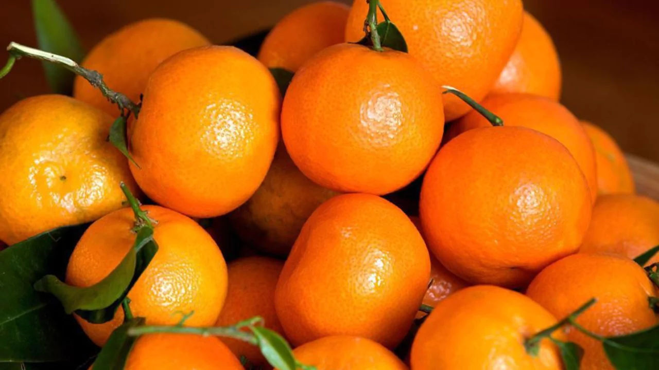 What’s The Difference Between Clementines Vs Mandarin Oranges? 2 Mandarin oranges