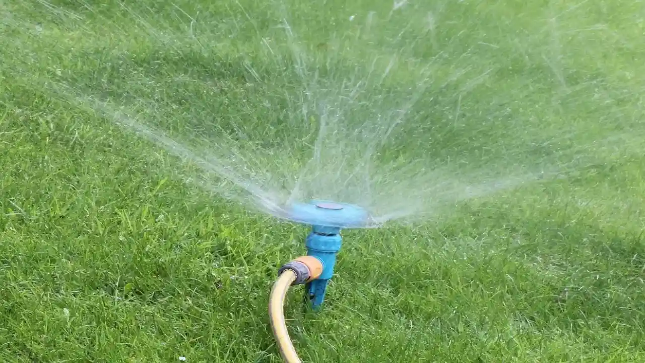 Best Motion Activated Sprinklers – Natural Pest Deterrents 1 Motion activated sprinkler benefits