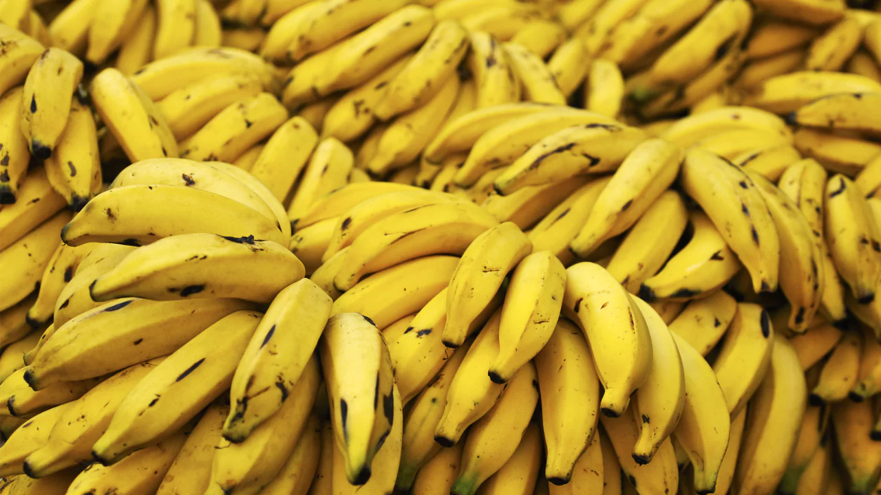 Do Organic Bananas Turn Yellow? 3 Organic banana ripe