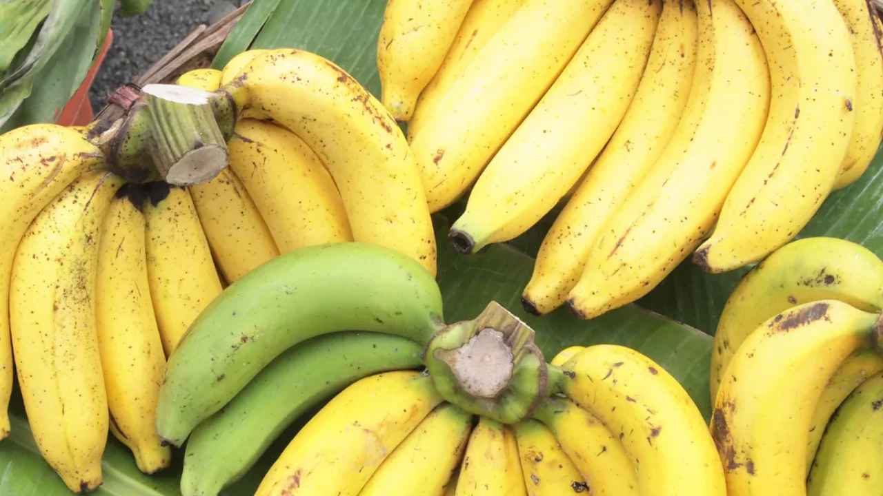Why Do Organic Bananas Taste Better? 2 Organic food