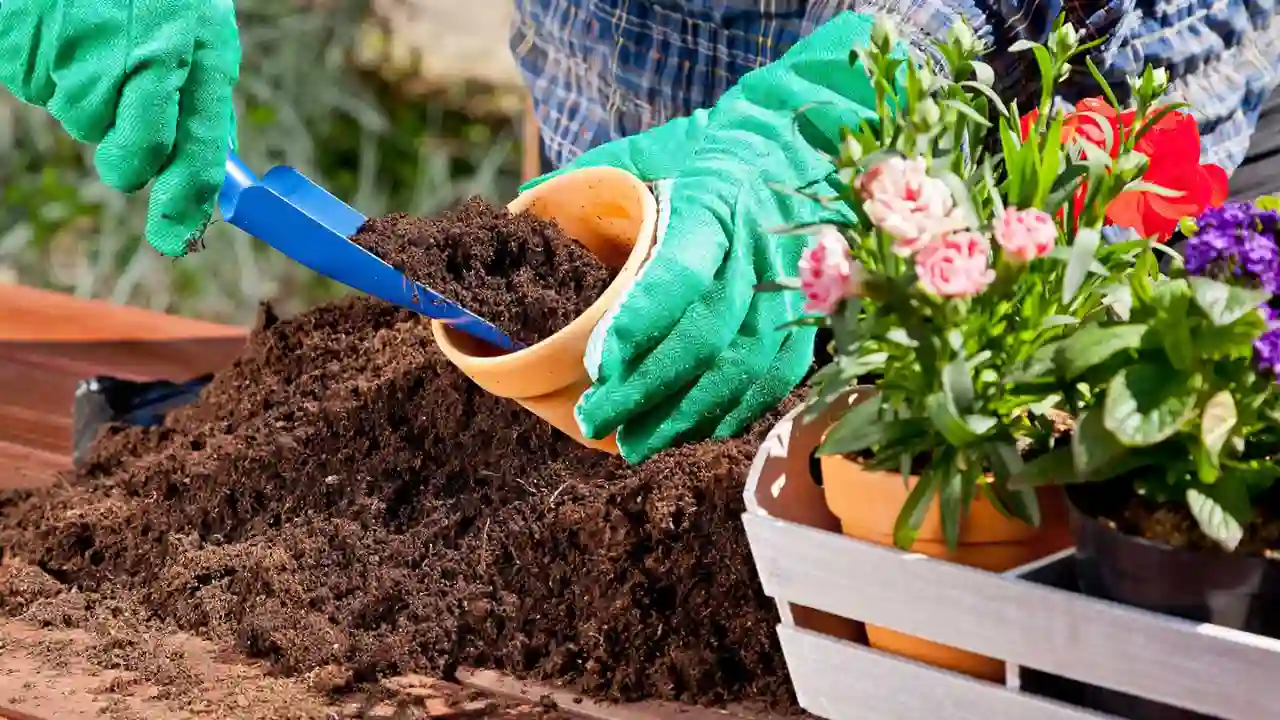 5 Best Organic Potting Soil For Herbs 1 Organic potting soil quality