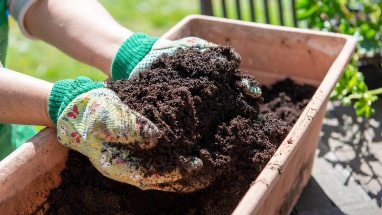 5 Best Organic Potting Soil For Herbs 5 Organic potting soil