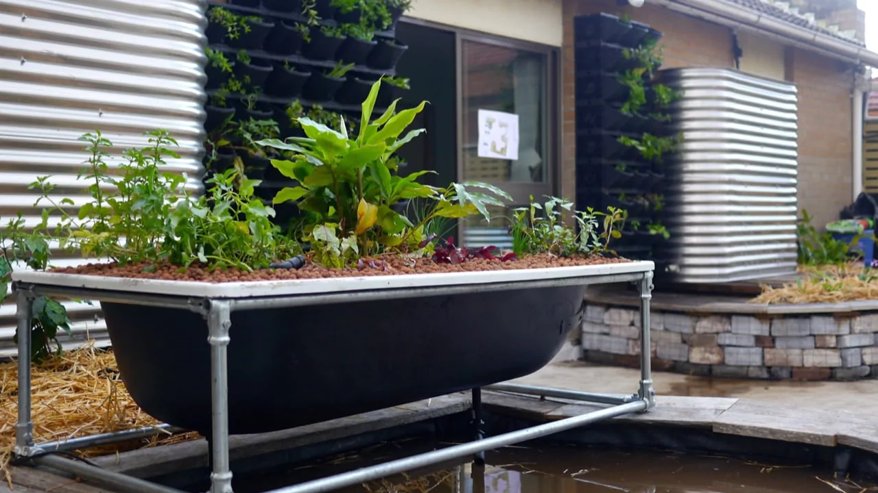 Set aquaponics system