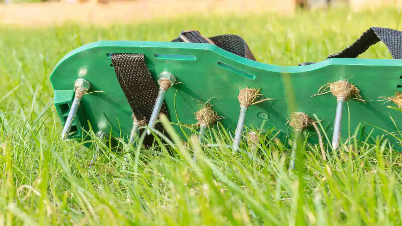 Will Aerating a Lawn Help with Drainage? 1 Spike lawn aeration 1