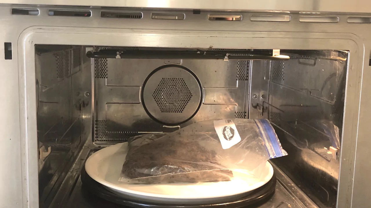 Sterilize soil in the microwave