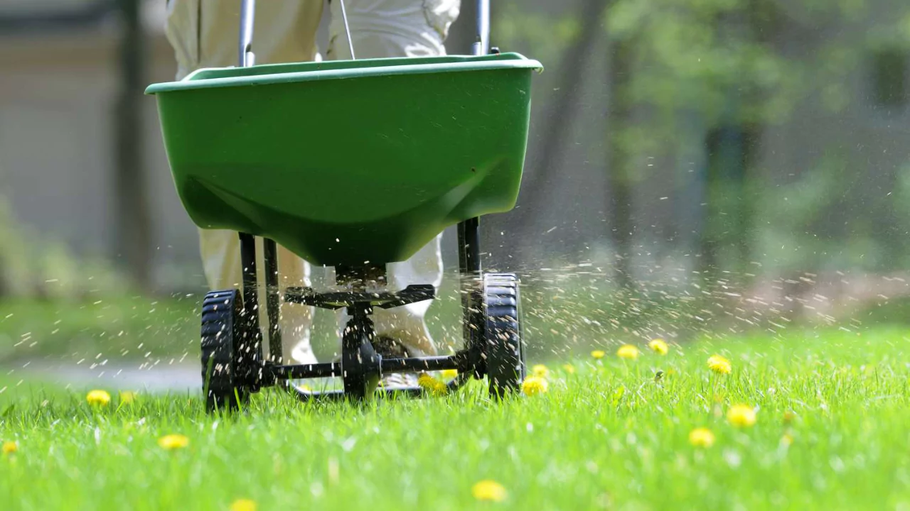 What Temperature Is Too Cold to Fertilize a Lawn 1 The best temperature for fertilizing a lawn