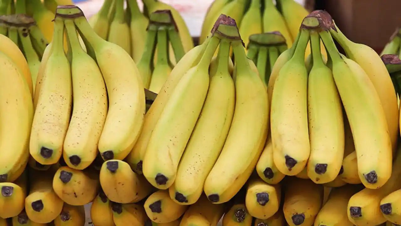 Do Organic Bananas Turn Yellow