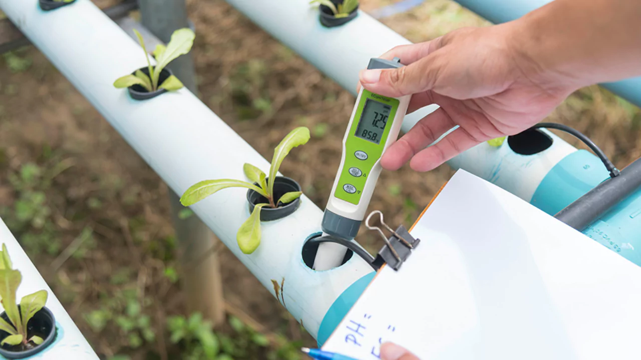 Best pH Level for Hydroponic (Hydroponic pH Level Chart) 1 pH is important for hydroponics