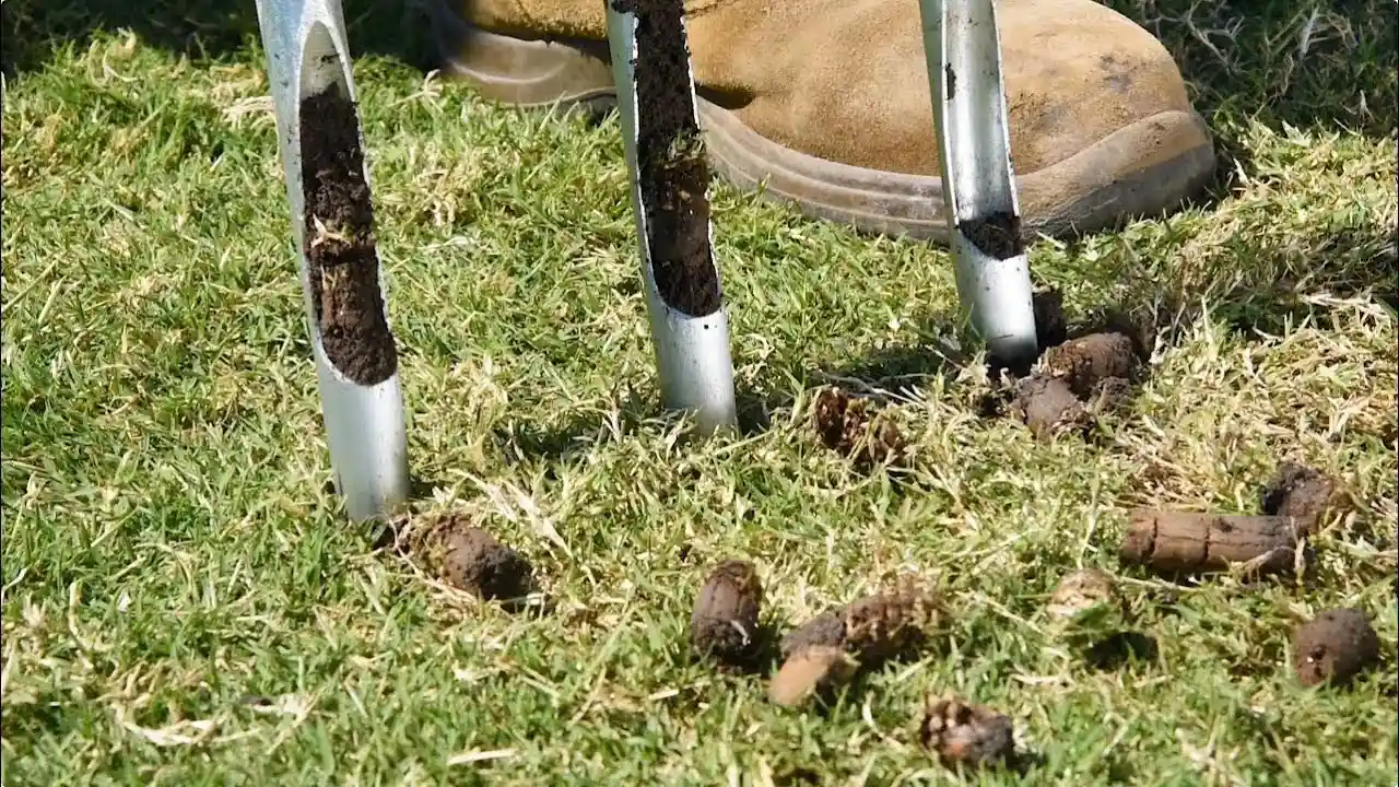How to Improve Soil Aeration 1 Aerate your soil