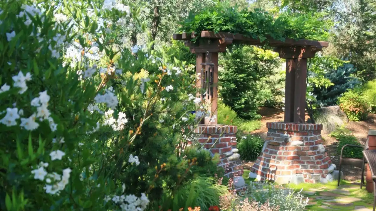 Pergola Vs Arbor: What’s The Difference? 2 Arbor backyard