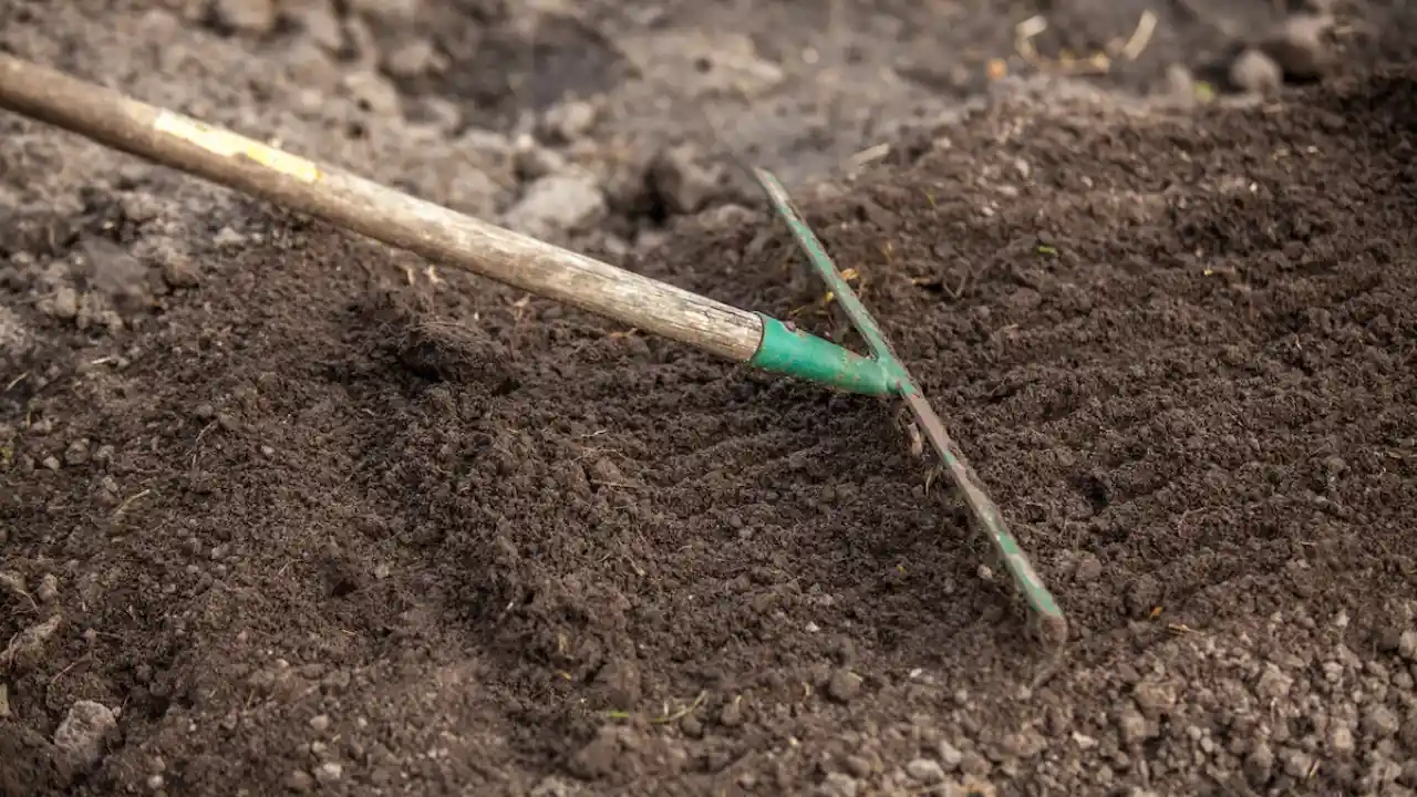 How Much Bone Meal Per Gallon Of Soil