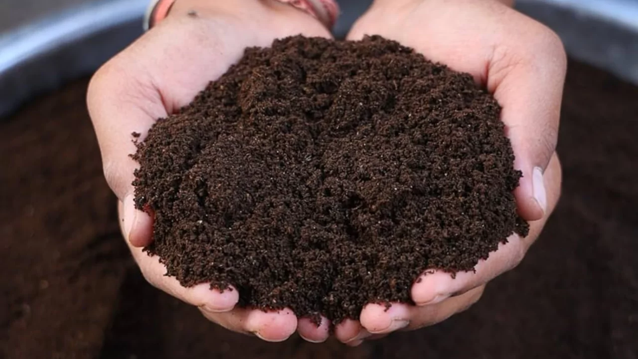 How Much Bone Meal Per Gallon Of Soil? 1 Bone Meal Per Gallon Of Soil