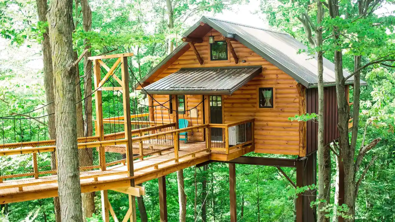 Treehouse Ideas and Designs You Can Build in Your Backyard 7 Cabin Treehouse