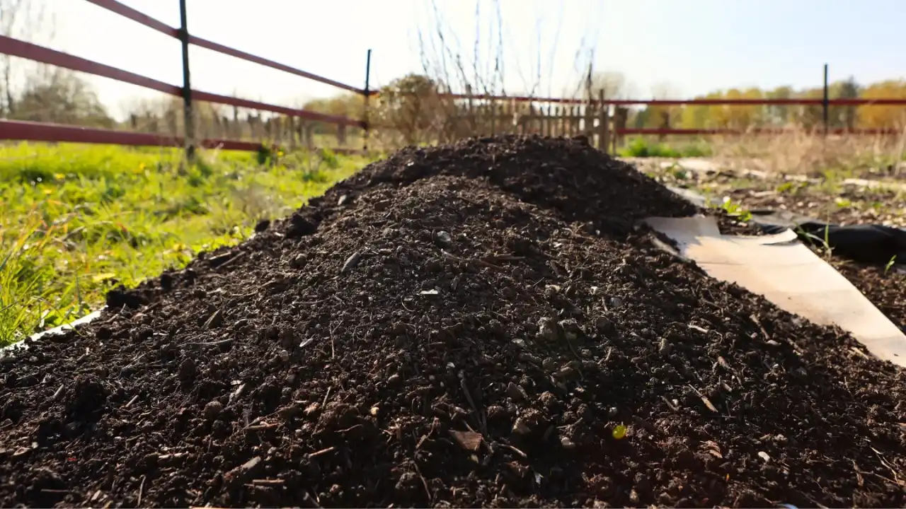 Can I Use Compost for Overseeding? 2 Compost thickness