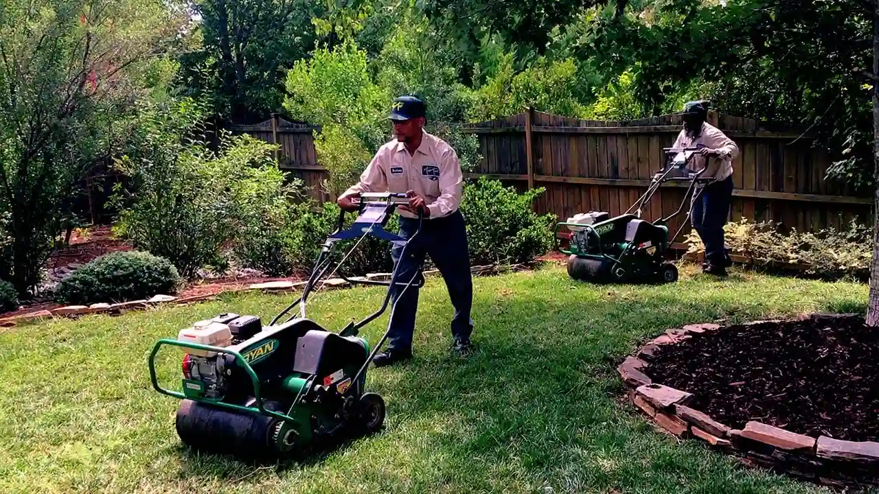 How to Improve Soil Aeration