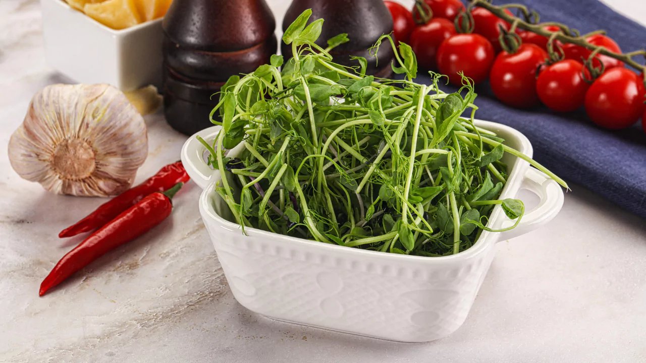Arugula Microgreens Vs Arugula 4 Delicious arugula microgreens
