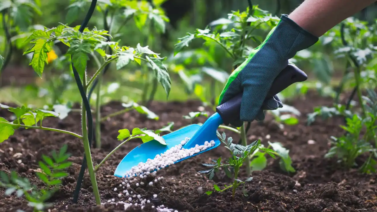 How To Store Fertilizer