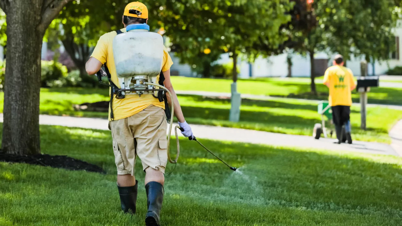 Ironite for Lawns (When to Use Alternatives) 1 Granular vs Liquid Fertilizer for Lawns and grass