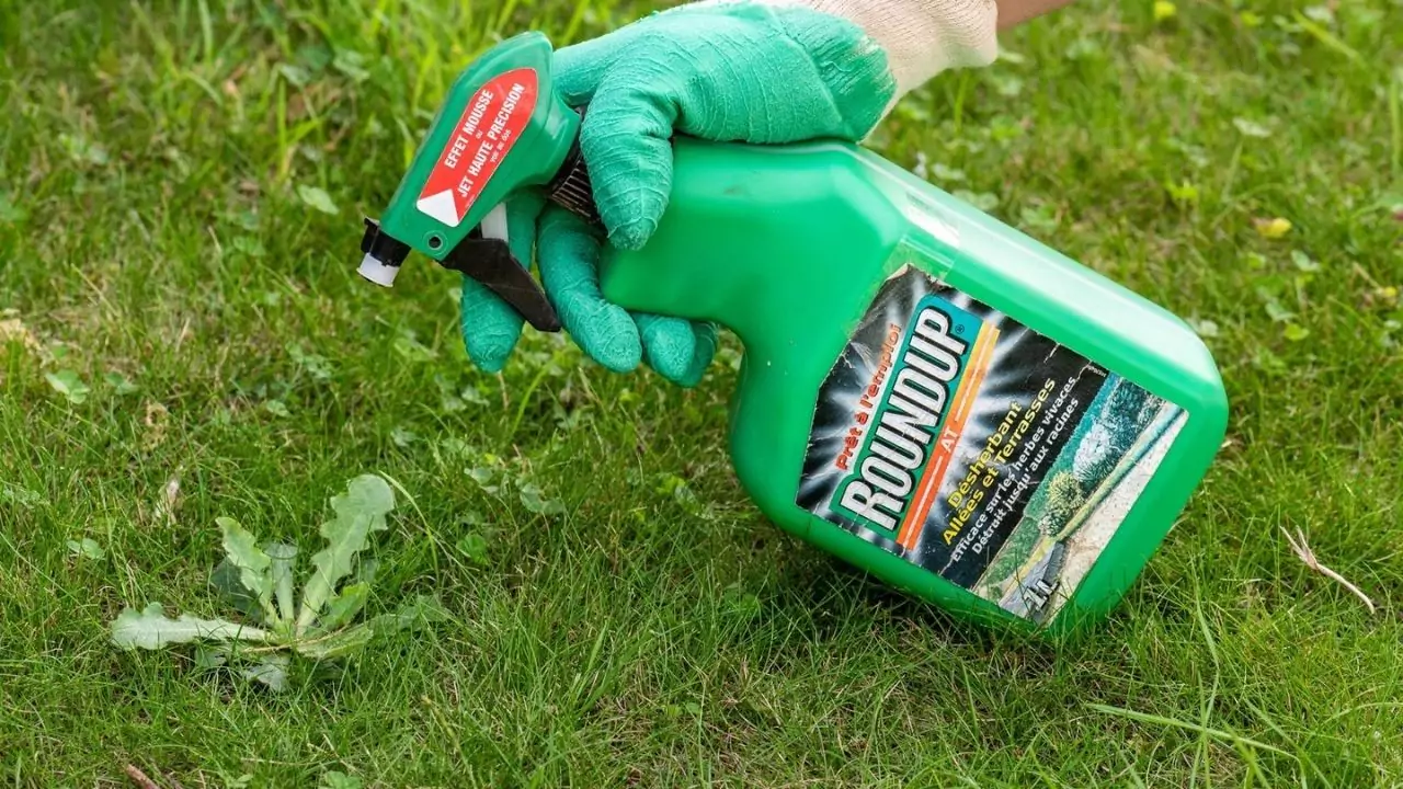 How Long Does Roundup Take To Kill Weeds