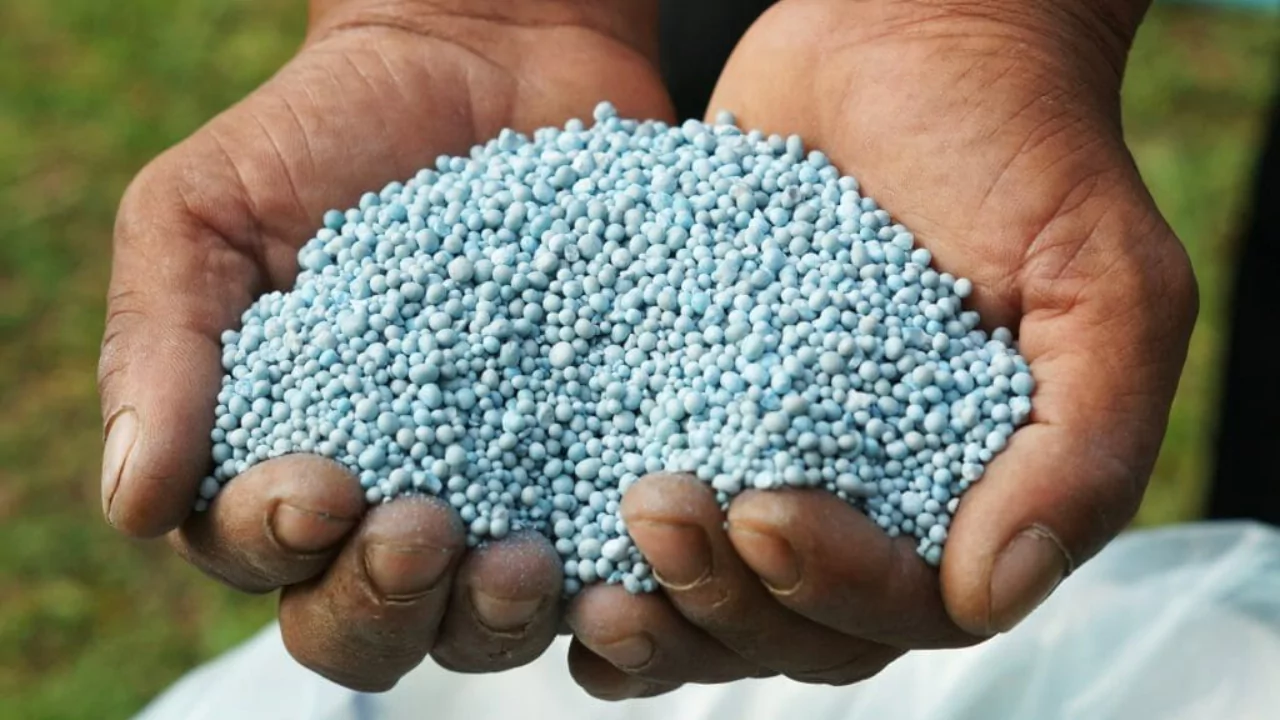 Inorganic fertilizer