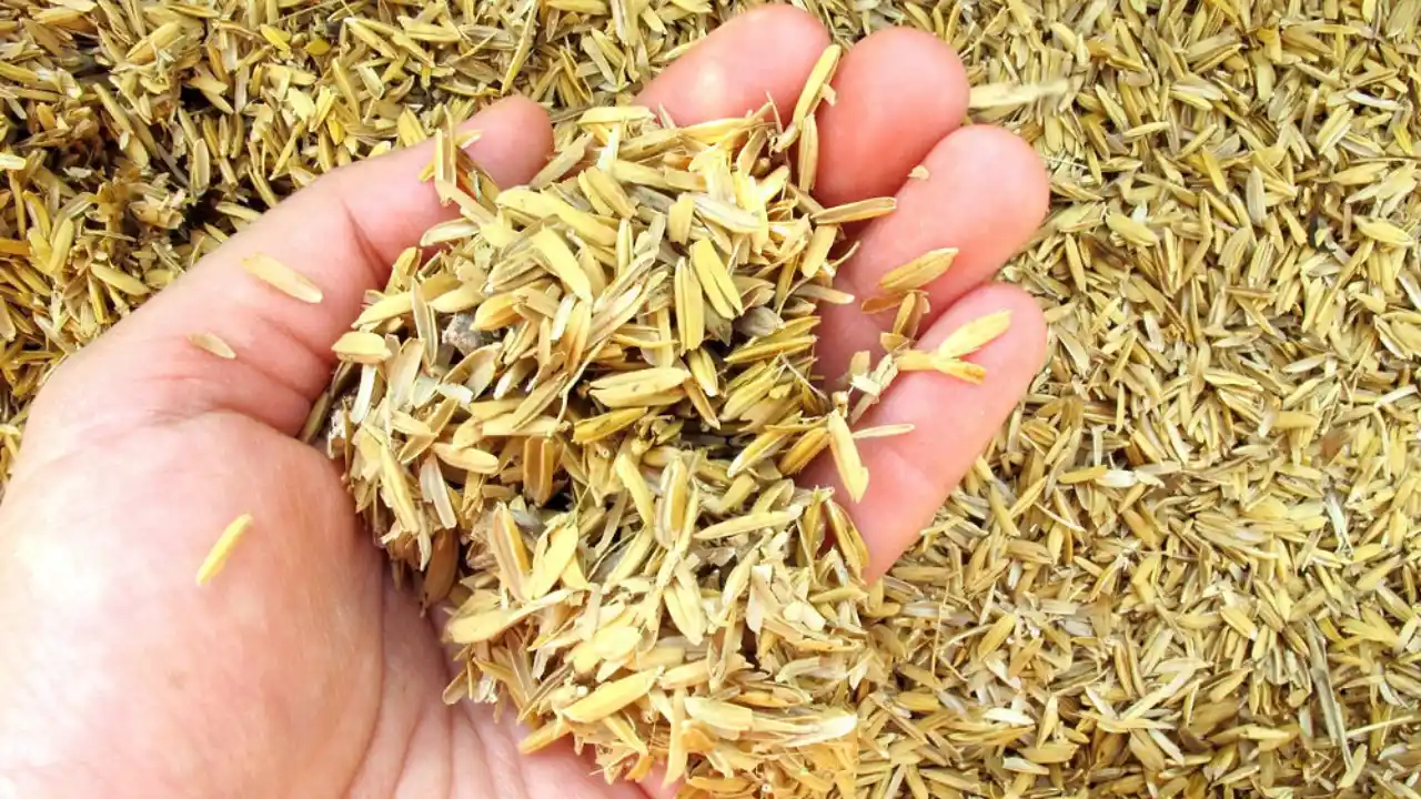 Are Rice Hulls Good For Potting Soil? 2 Neutral pH