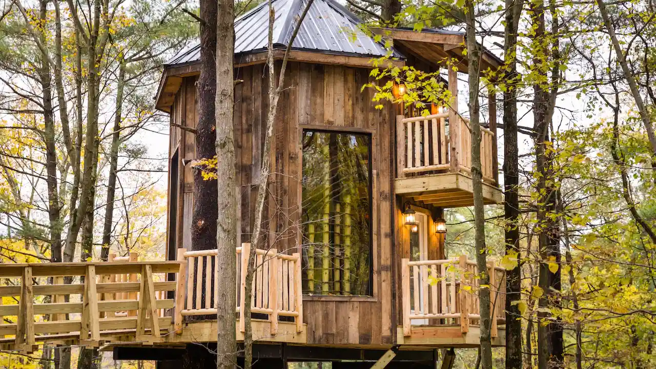 Treehouse Ideas and Designs You Can Build in Your Backyard 6 Ninja treehouse idea