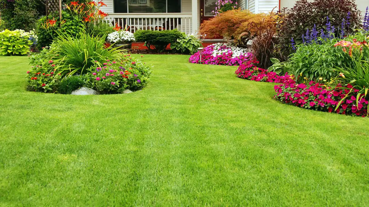 Ironite for Lawns