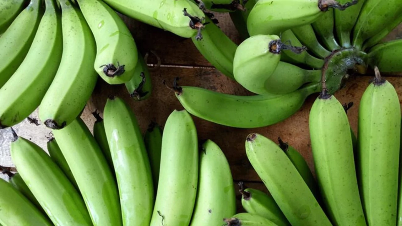 Organic banana ripe