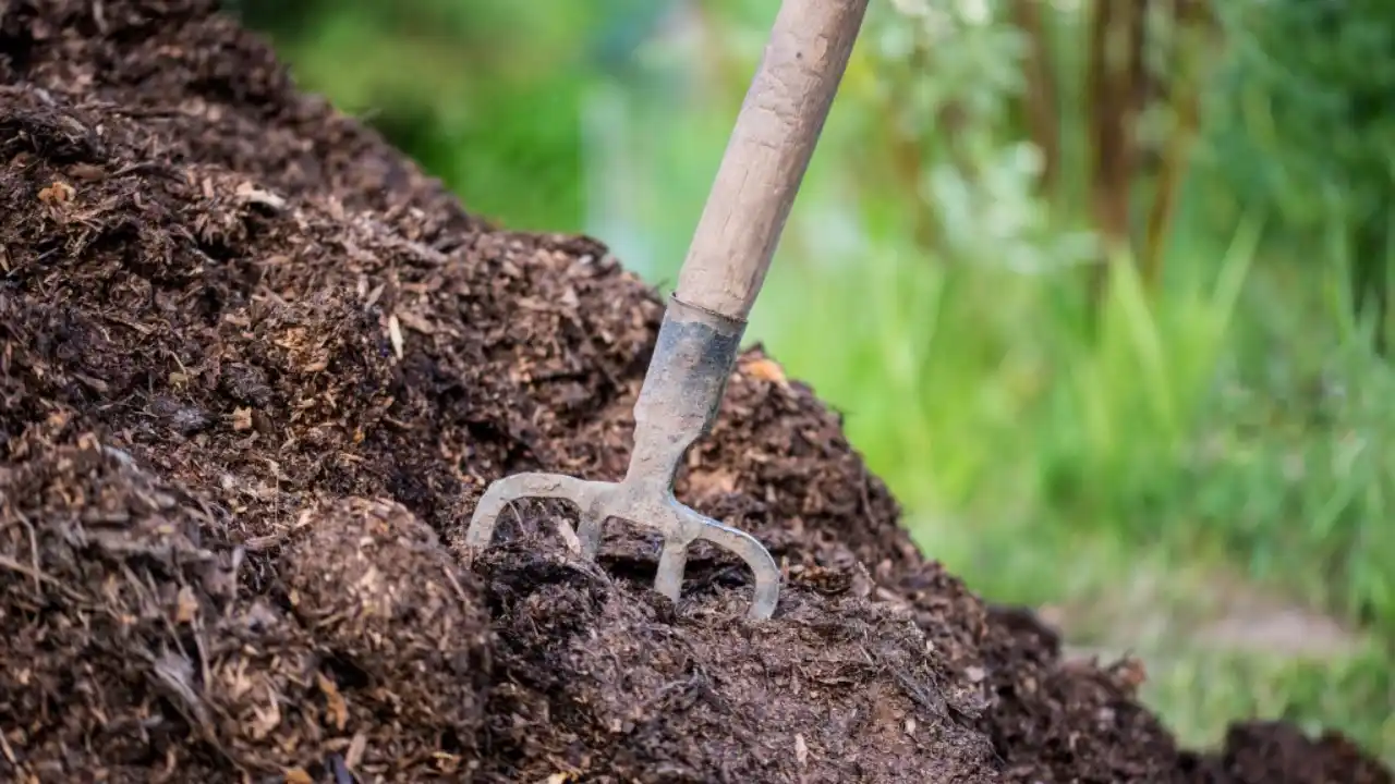 Organic fertilizer