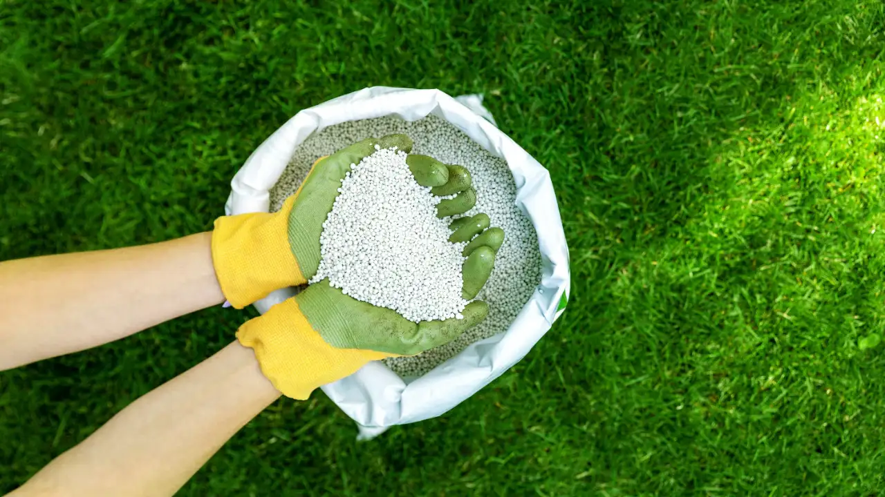 How To Store Fertilizer (Garden Fertilizer Storage Methods) 4 Outdoor storage fertilizer