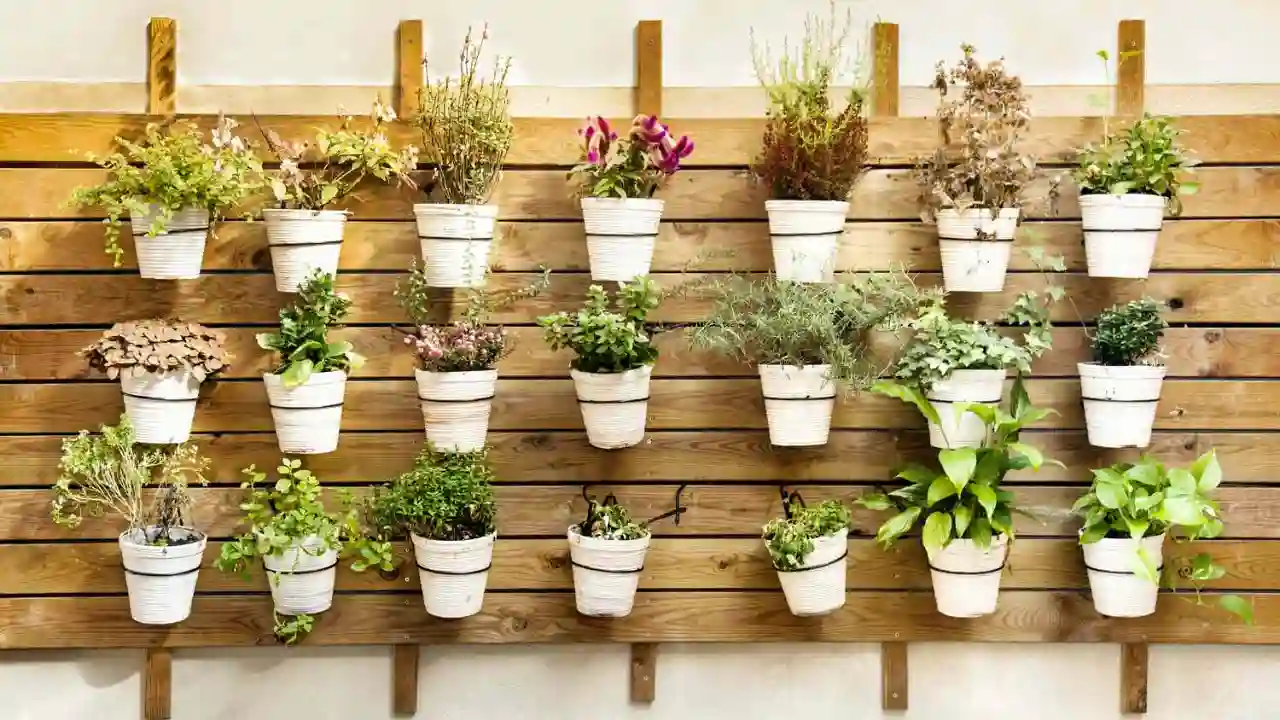 How to arrange potted plants on a patio 4 Patio wall planters