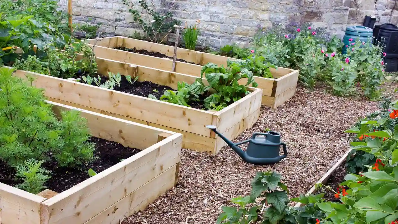 Best Wood For Raised Garden Beds 6 Perfect raised garden bed